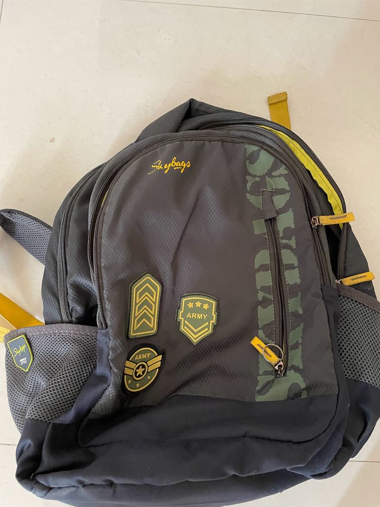 ‼️Price Drop Skaybag Brand Backpack