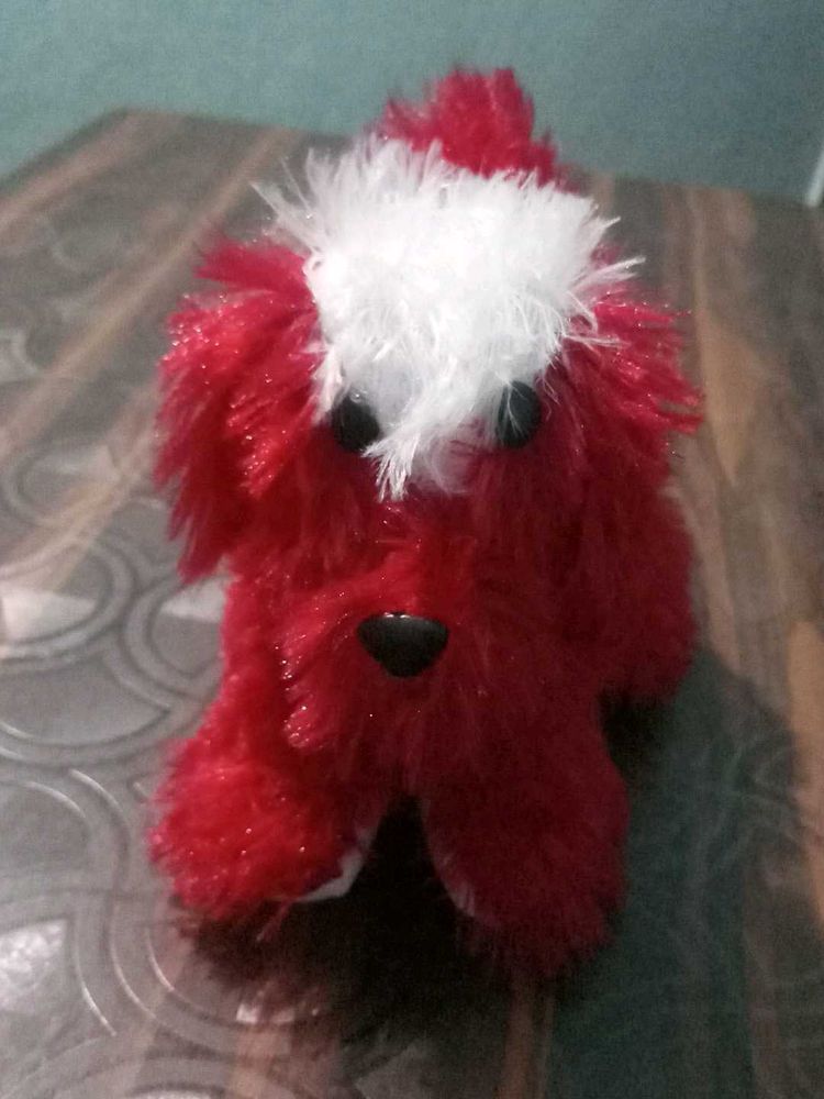 Baby Dog