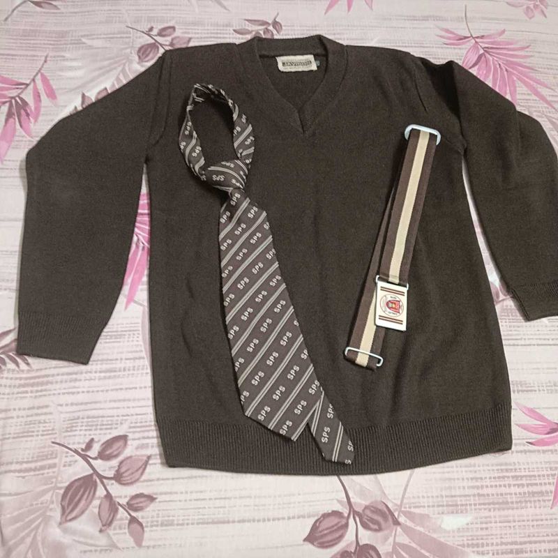 School Uniform Sweater