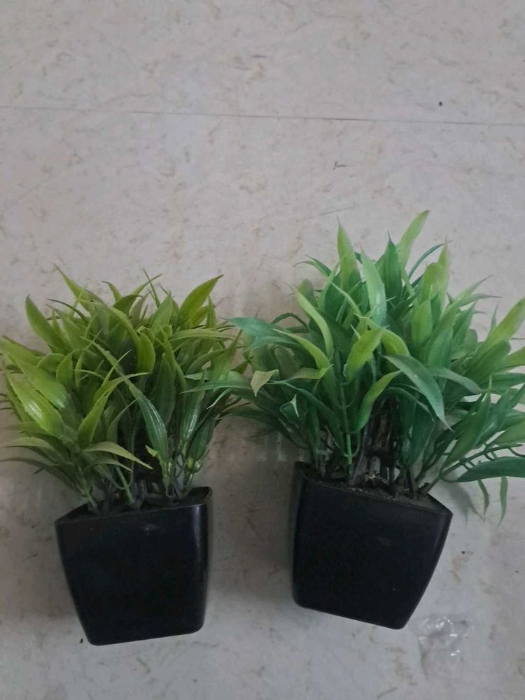 Artificial Green