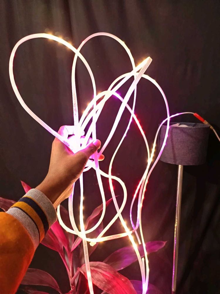 LED Rope Light