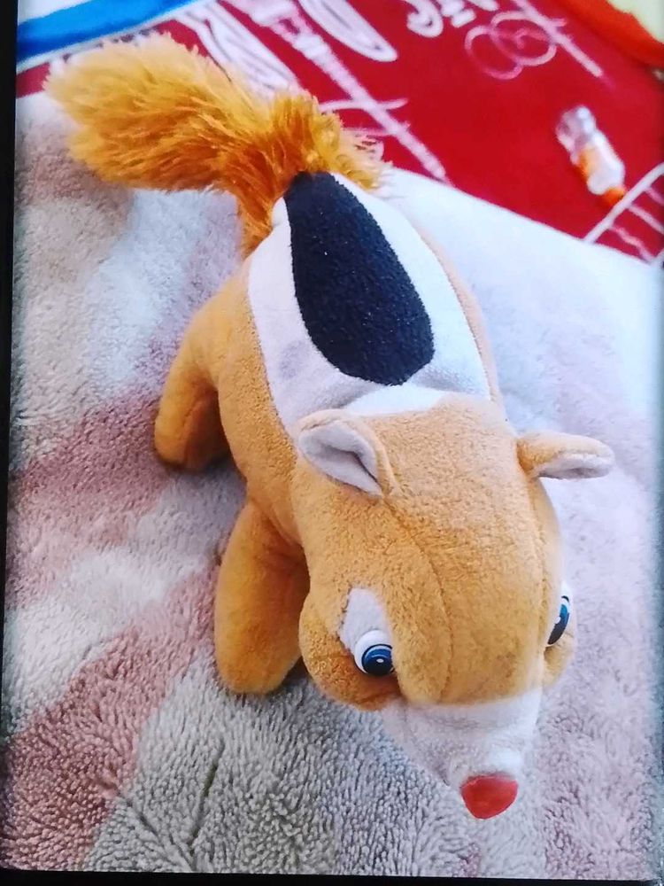 Squirrel