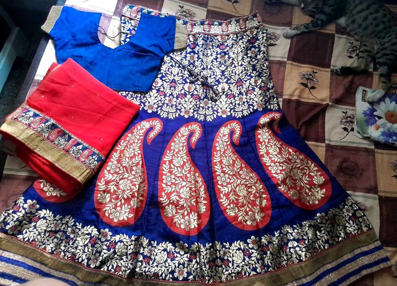 Lehnga Choli For Girls