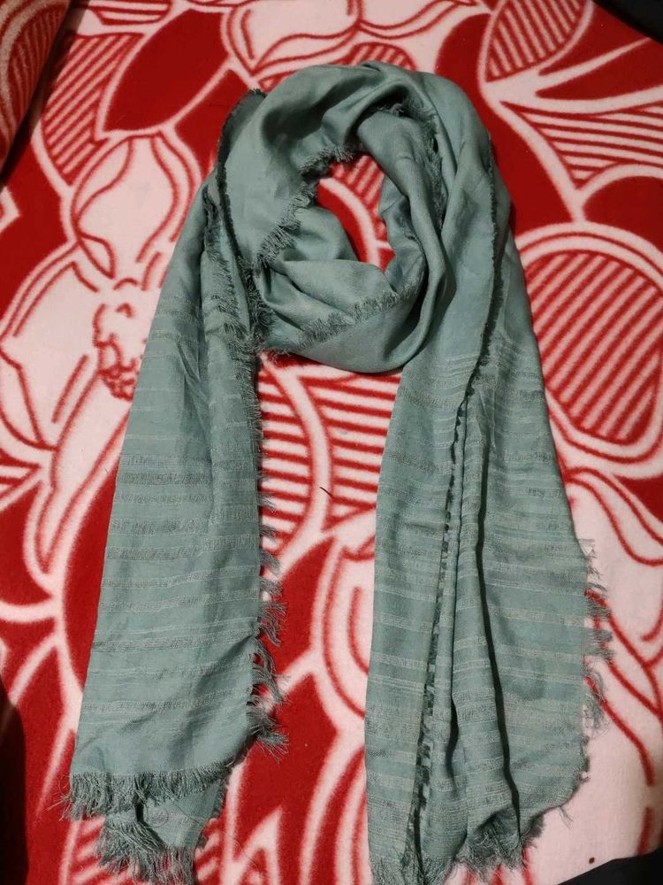 Stylish Green Scarf