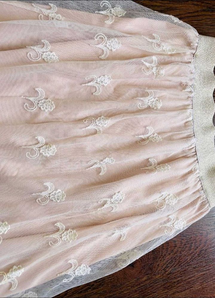 Embroidered Nude Skirt
