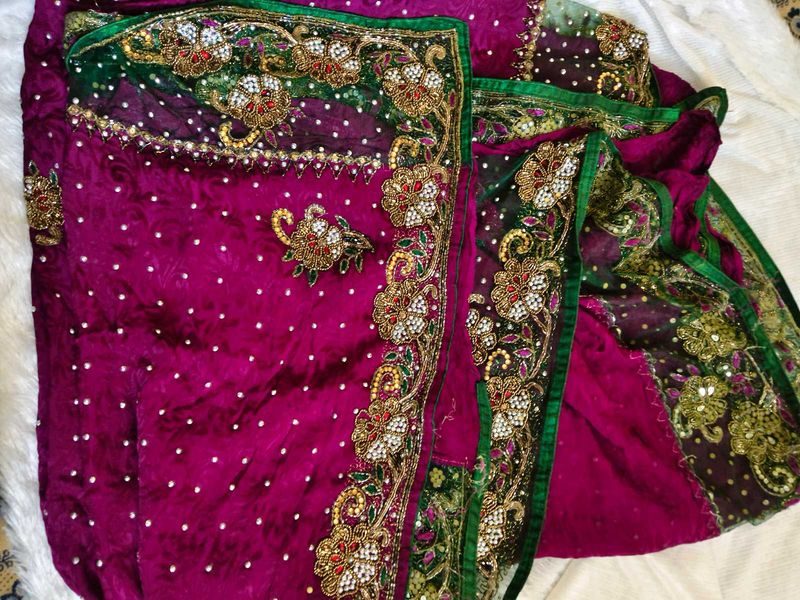 Elegant Embellished Saree