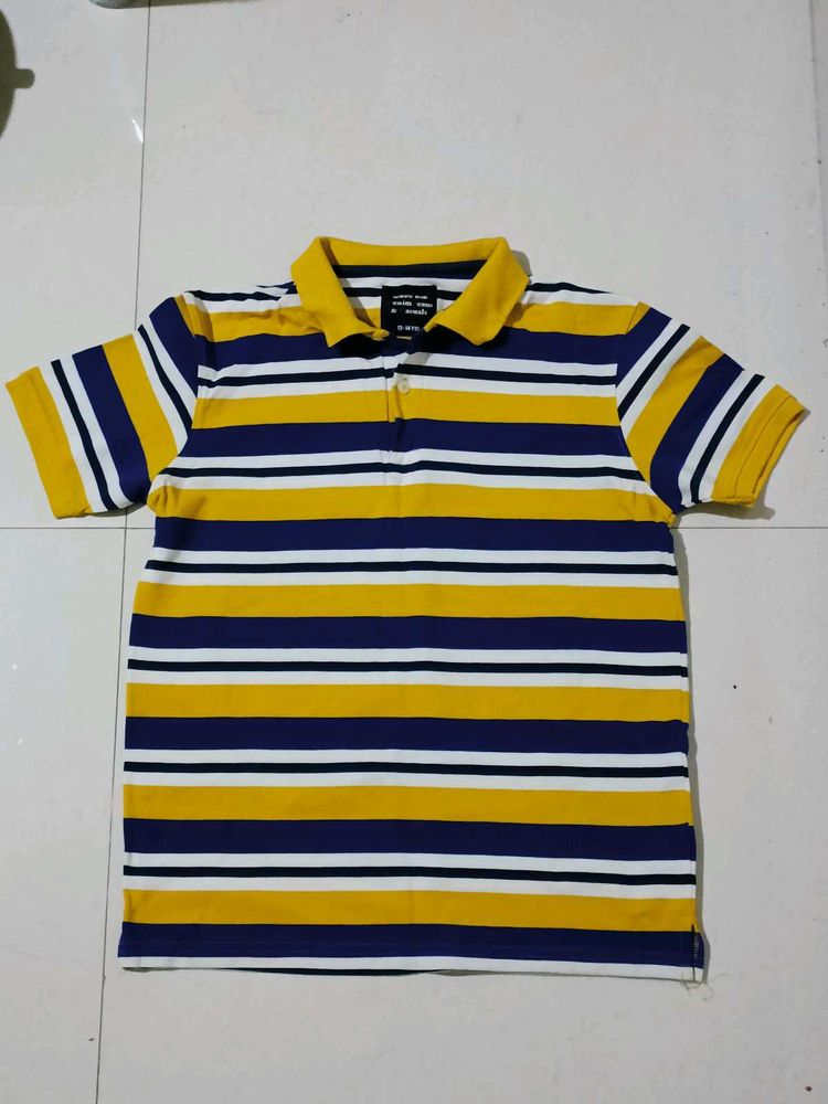 Polo Tshirt