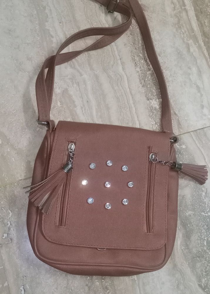 Leather Sling Bag / 350 Coins