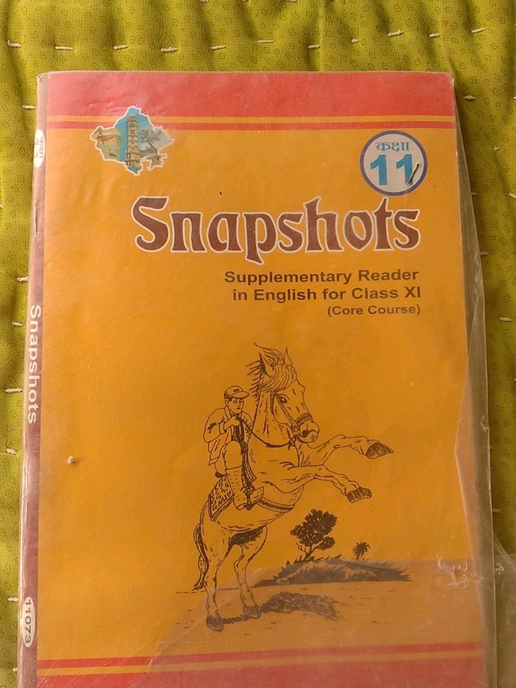 Class 11 English Supplementary Reader, Snapshots