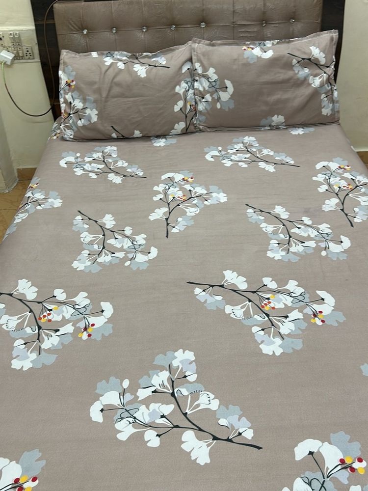 Todays Offer Glace Cotton Double Bedsheet