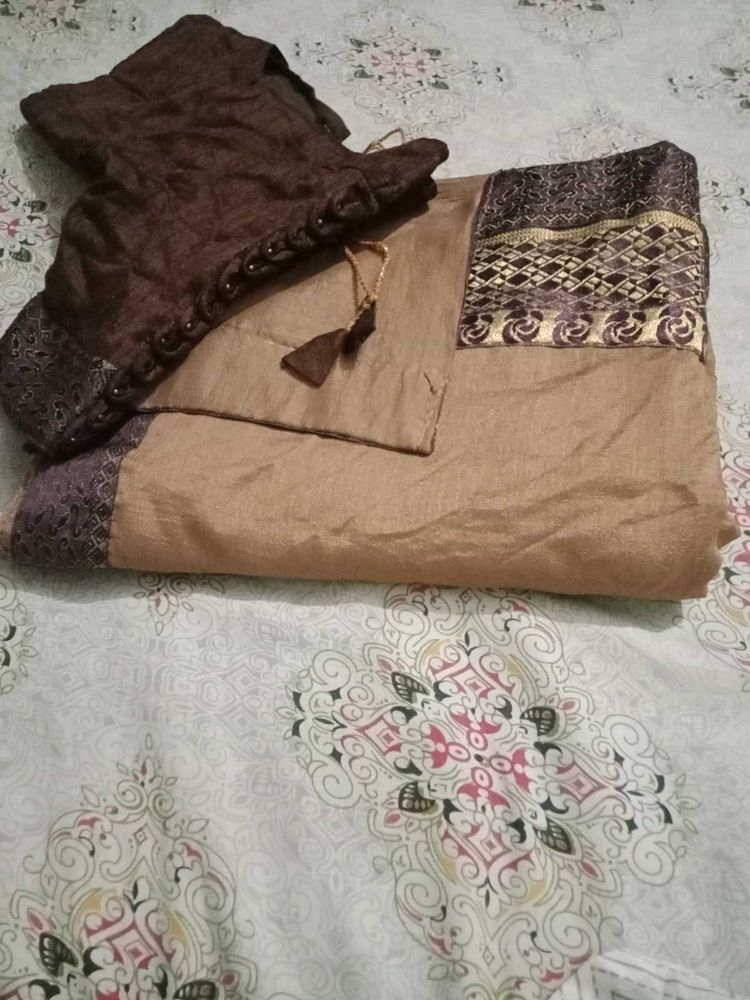 Brown Embroidered Saree With Designer Blouse