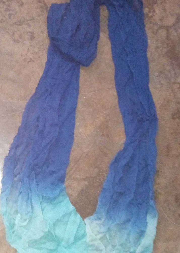 Georgette Blue Duptta Kids Stall Women