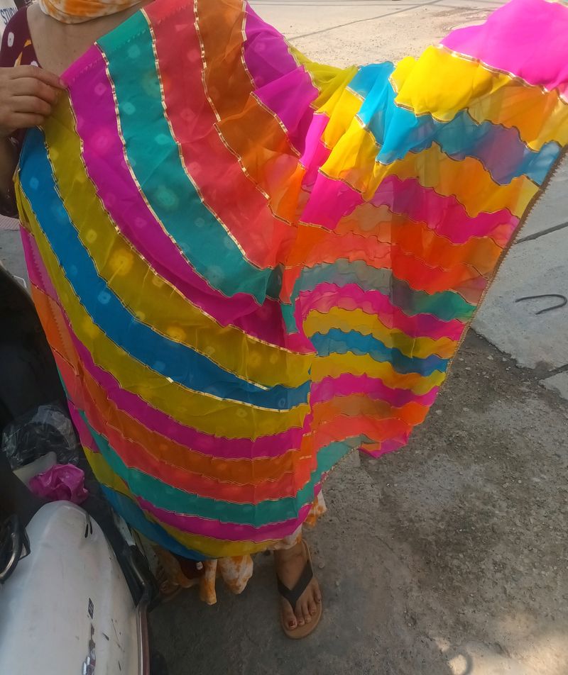 Multi Colour Georgette Dupatta.