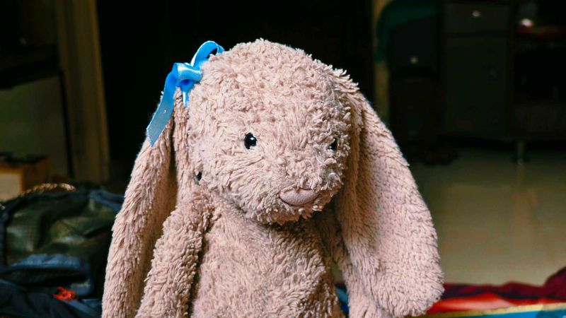 AUTHENTIC JELLYCAT BUNNY