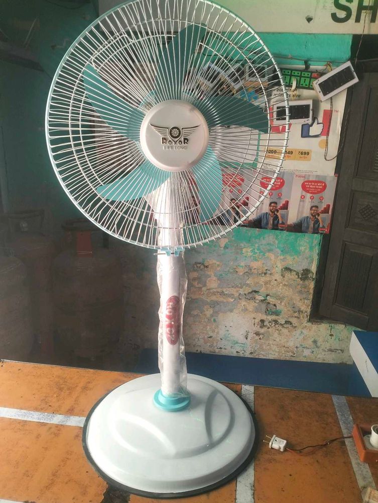 Royal Electric Stand Fan