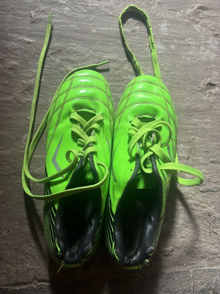 New studs