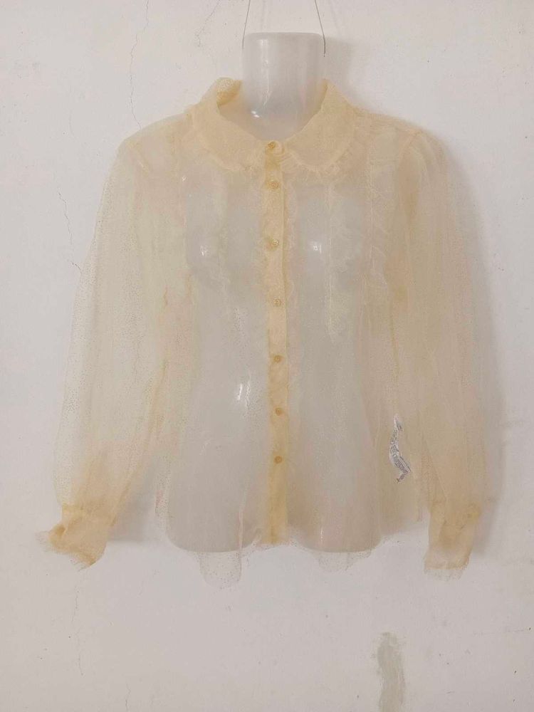 zara sheer organza shirt