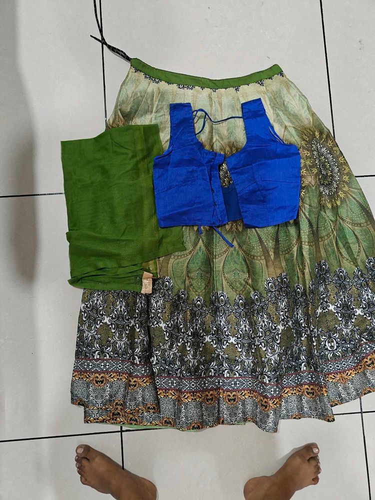 Indian Lengha Choli Set