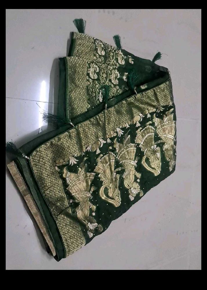 Elegant Green Embellished Saree