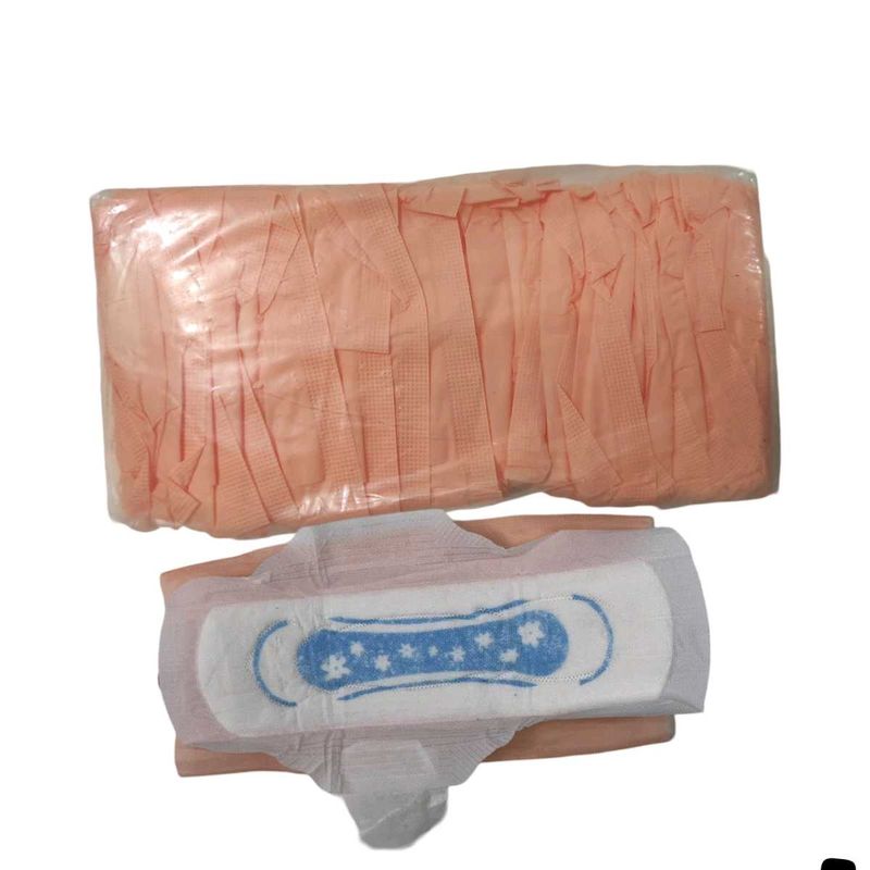 Sanitary Pads Blue Chip Drynet Pad