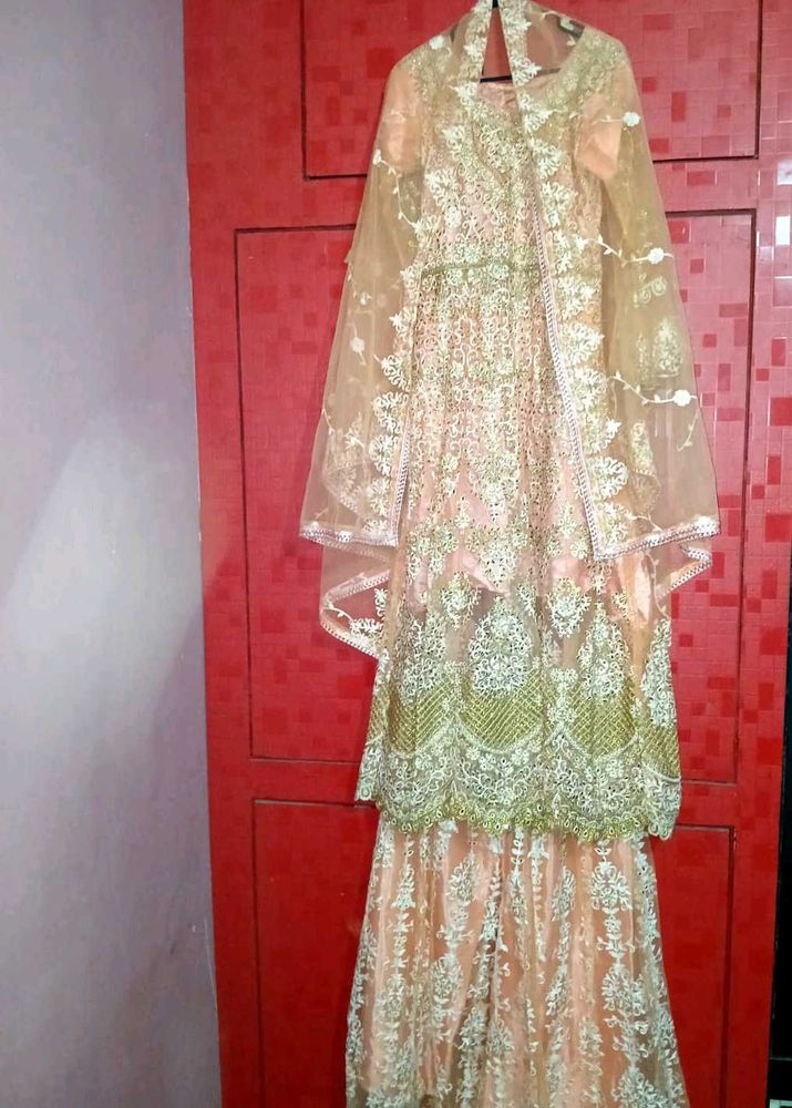 Heavy Embroidered Lehnga
