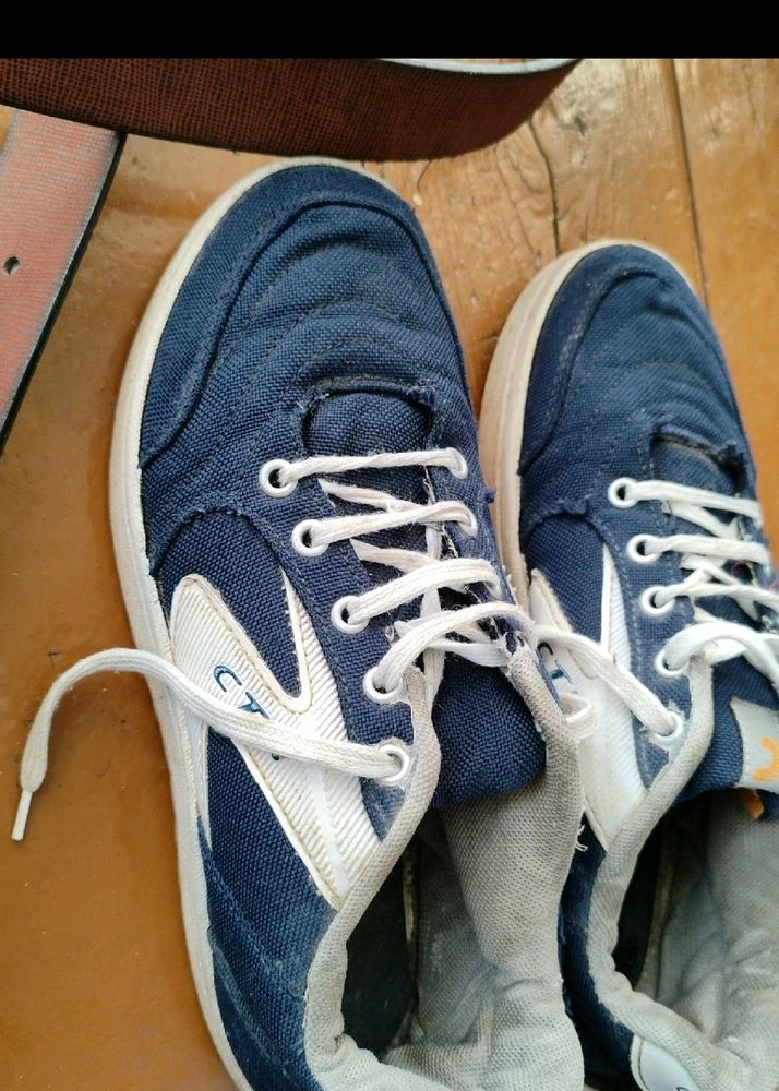 Combo 3 Shoes