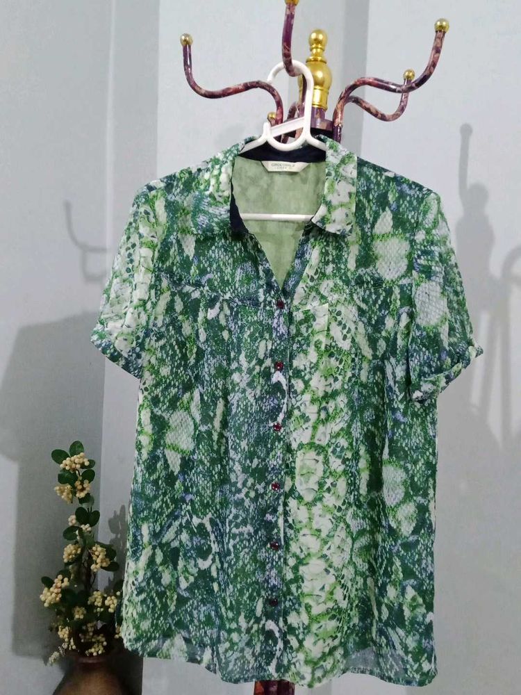Crocodile