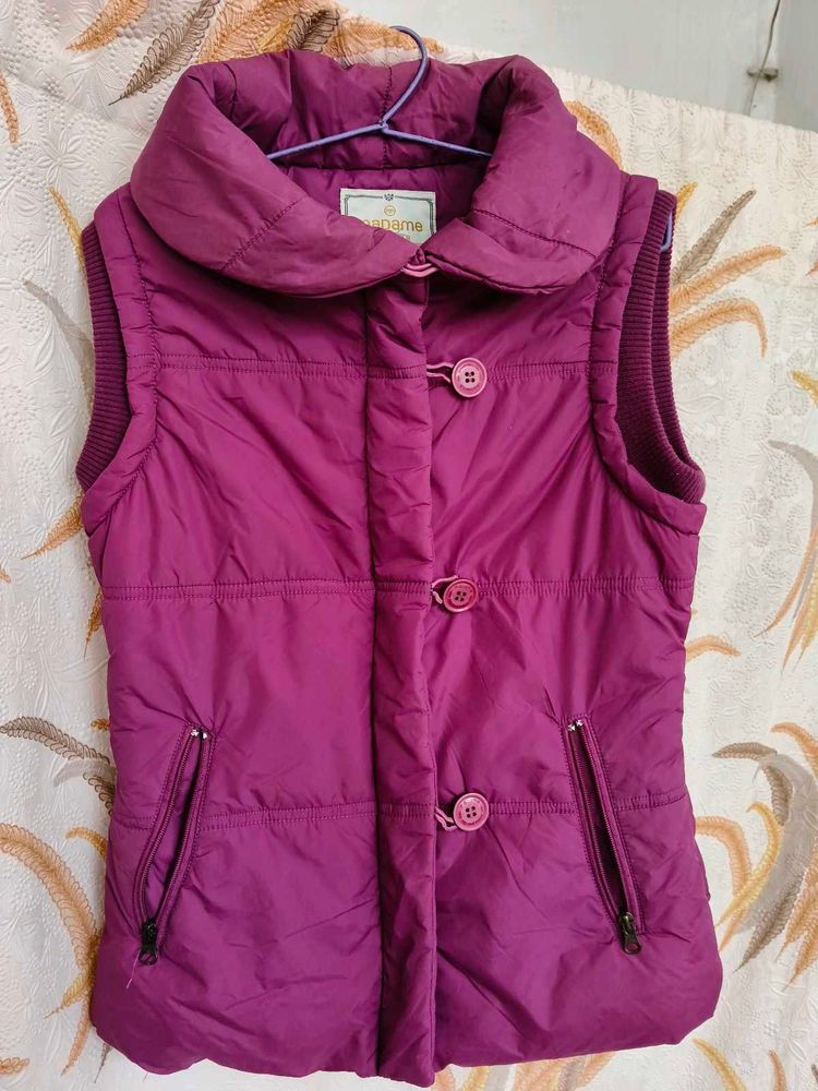 Purple Jacket For Men