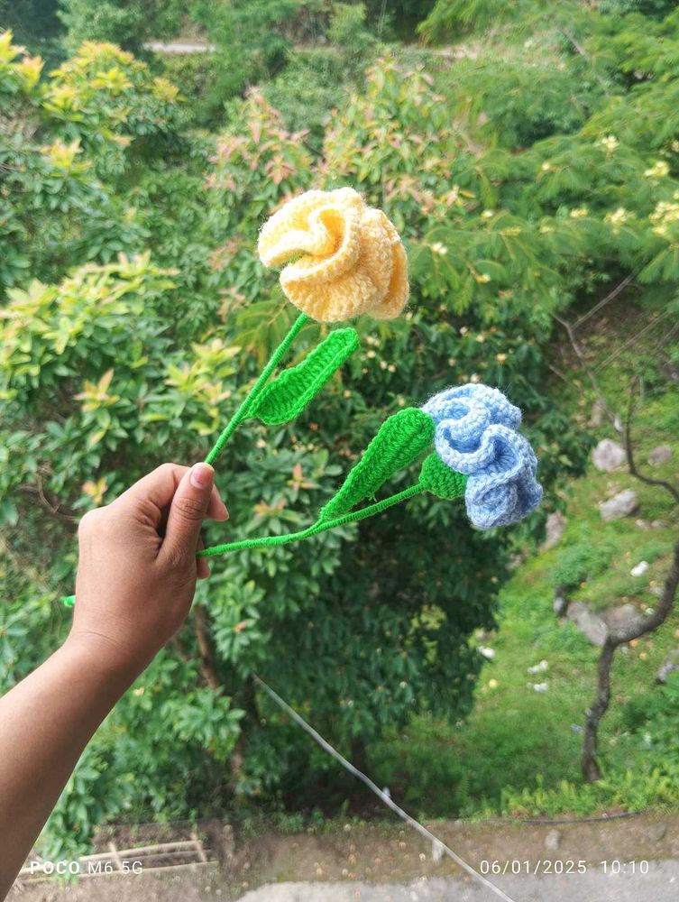 Crochet Carnation Flower (Only 1)