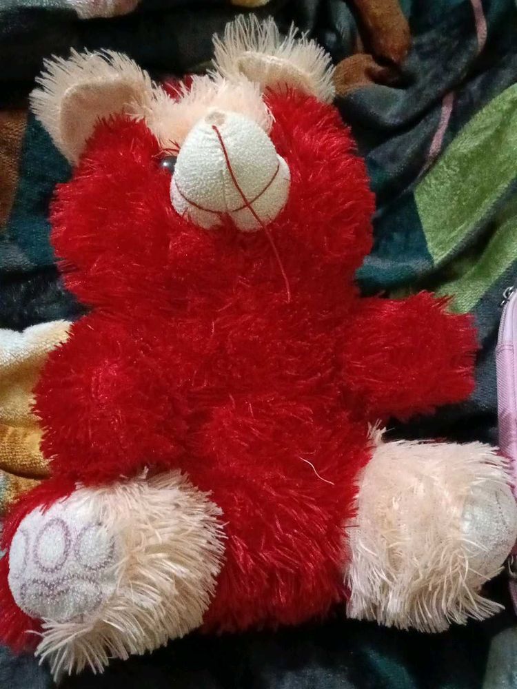 Red Plush Teddy Bear