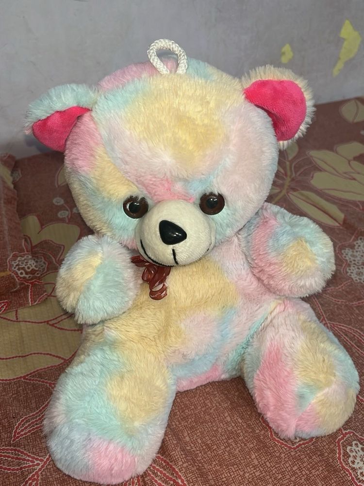Colourful Teddy Bear