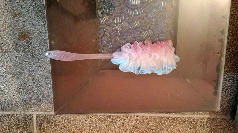 Loofah