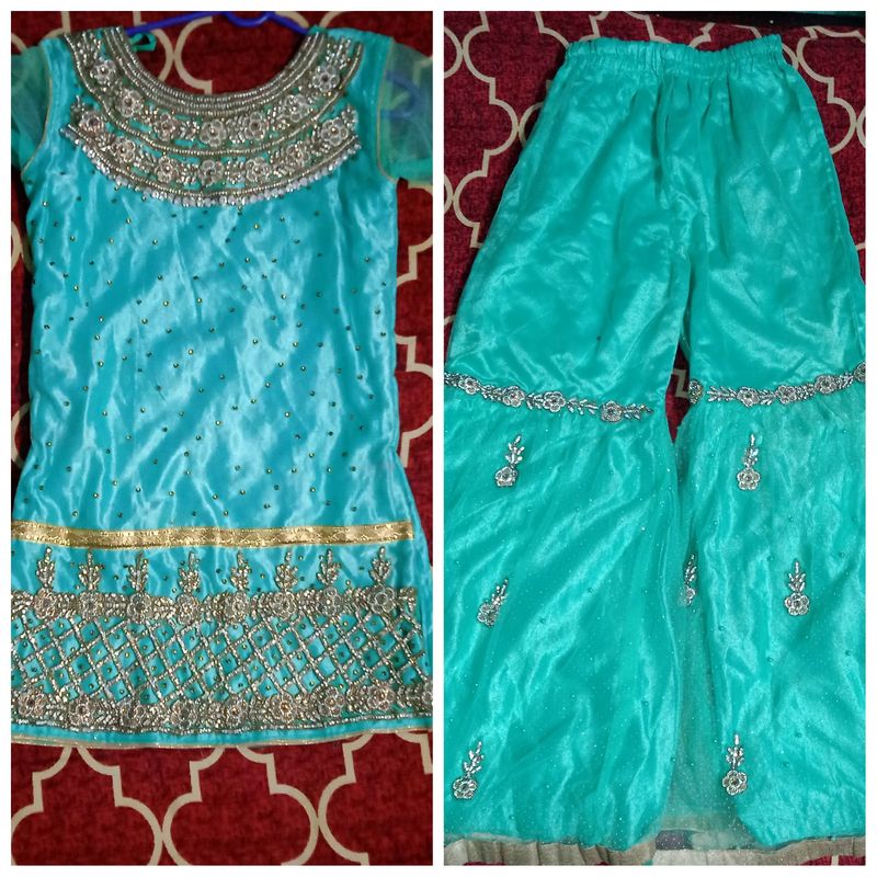 Heavy Party Wear Sarara