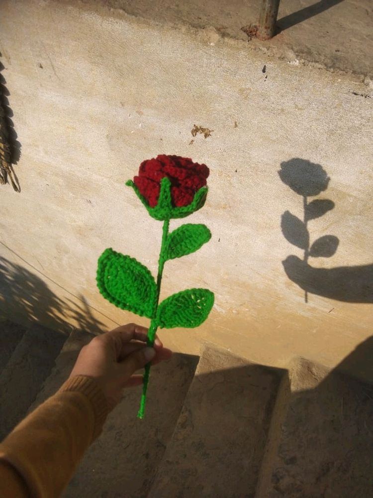 crochet Rose