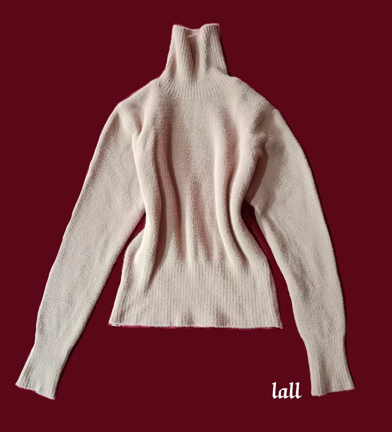 Turtle Neck Sweater