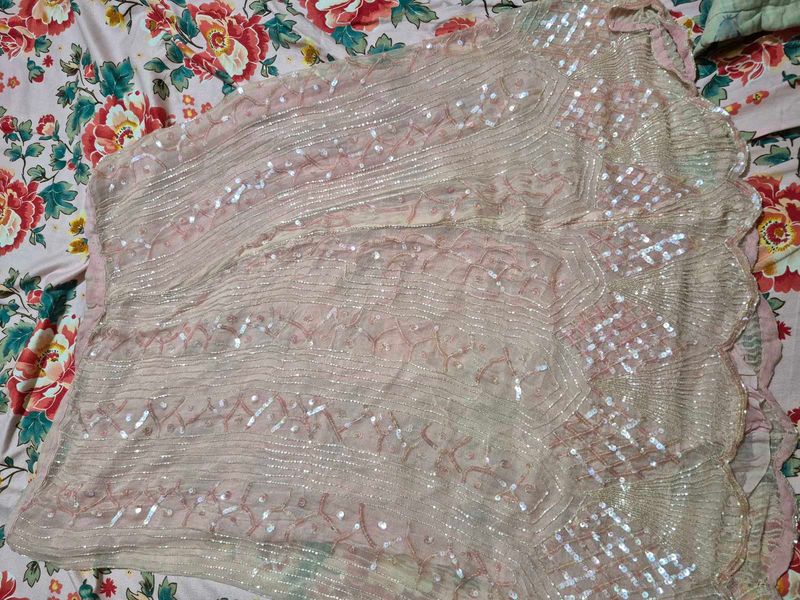 Pretty Light Pink Heavy Skirt