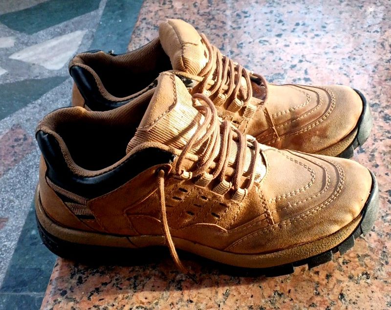 Good Condition Shoes