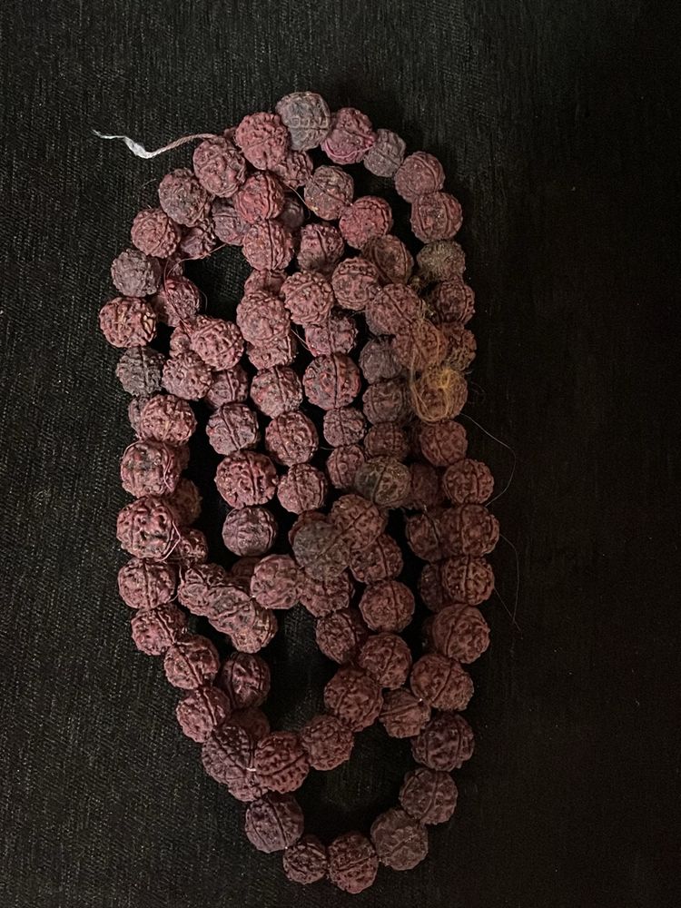 Rudraksh Mala