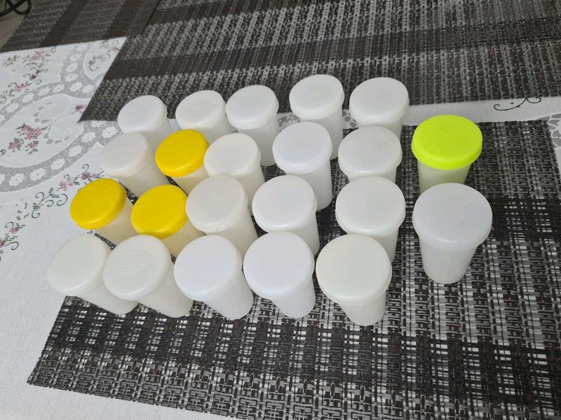 Plastic Kulfi Moulds with Cover