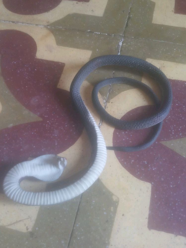 Snake Toy Like Real