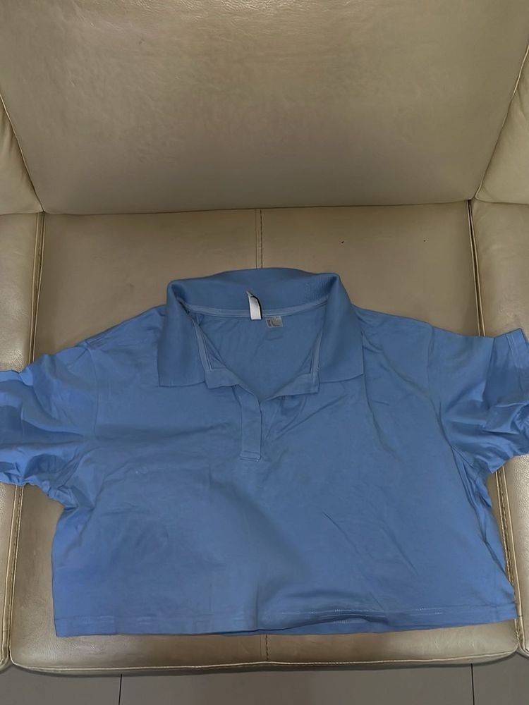 Blue Polo Shirt cropped