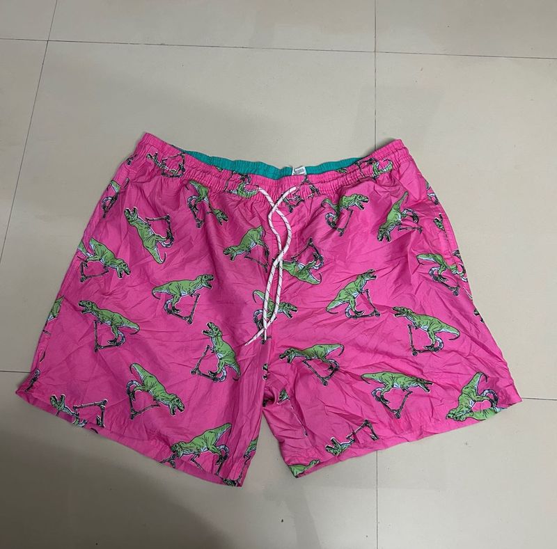 Dino Print Swim Shorts