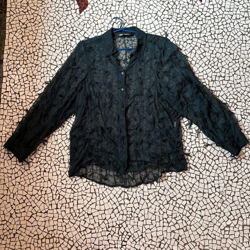 Zara 3D Sheer Shirt