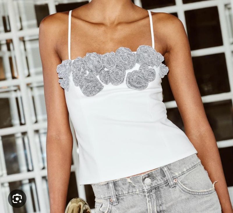 GORGEOUS ZARA ROSE EMBELLISHED TOP🩶🪩