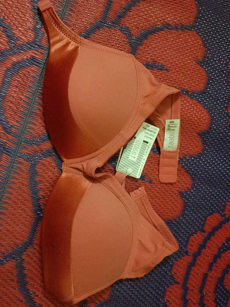 36B Padded Wire Free Bra