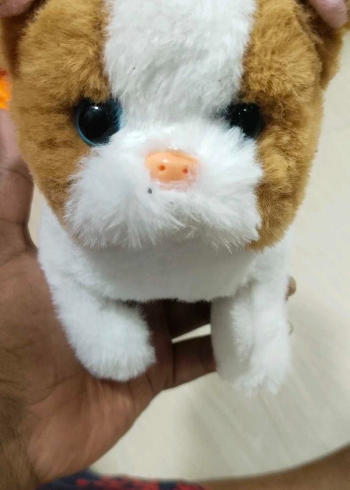 Baby Toy 😺