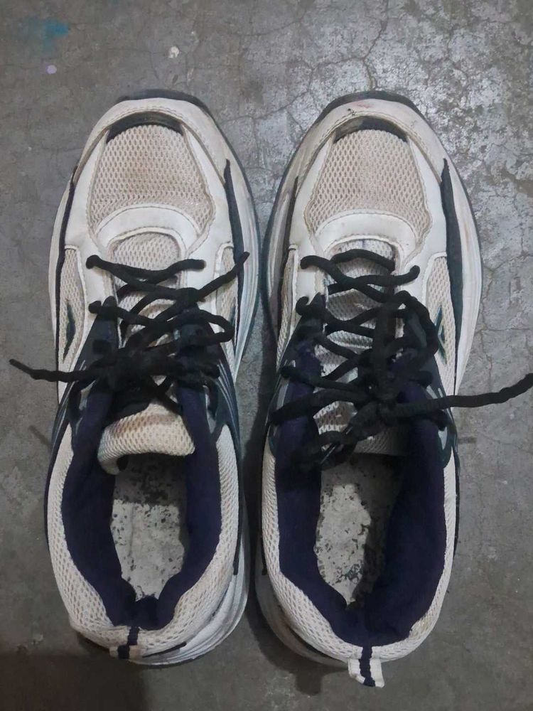 Sports Sneakers