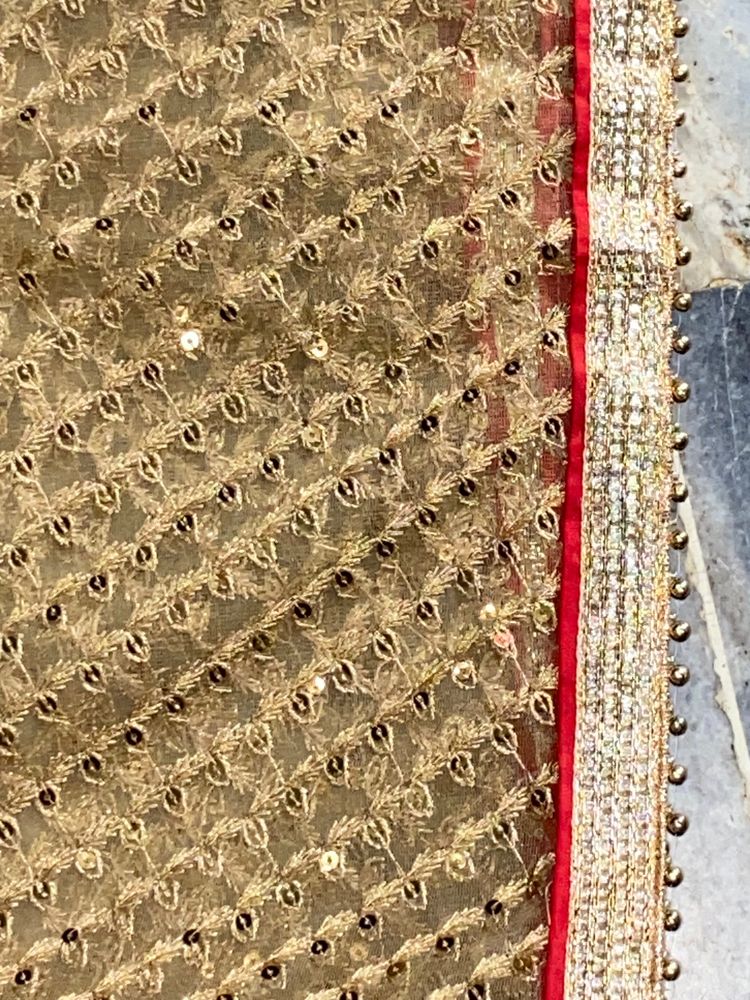 Net dupatta Golden