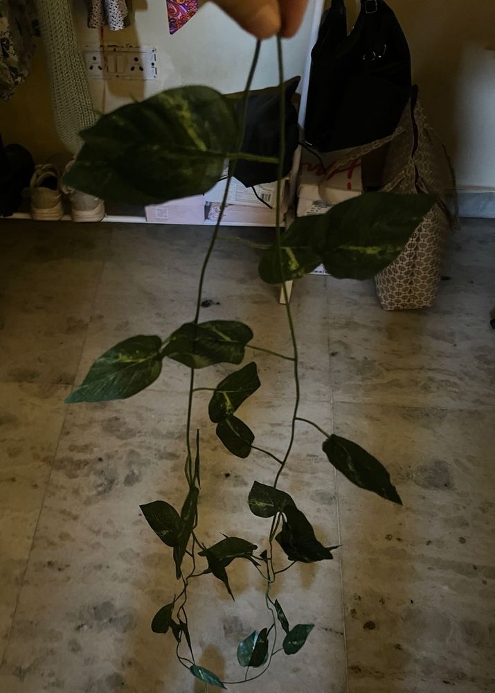 Artificial Plant