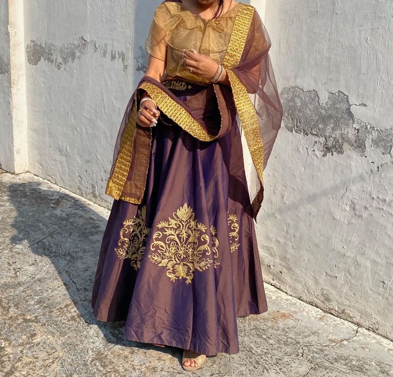 Elegant Lehenga Choli Set